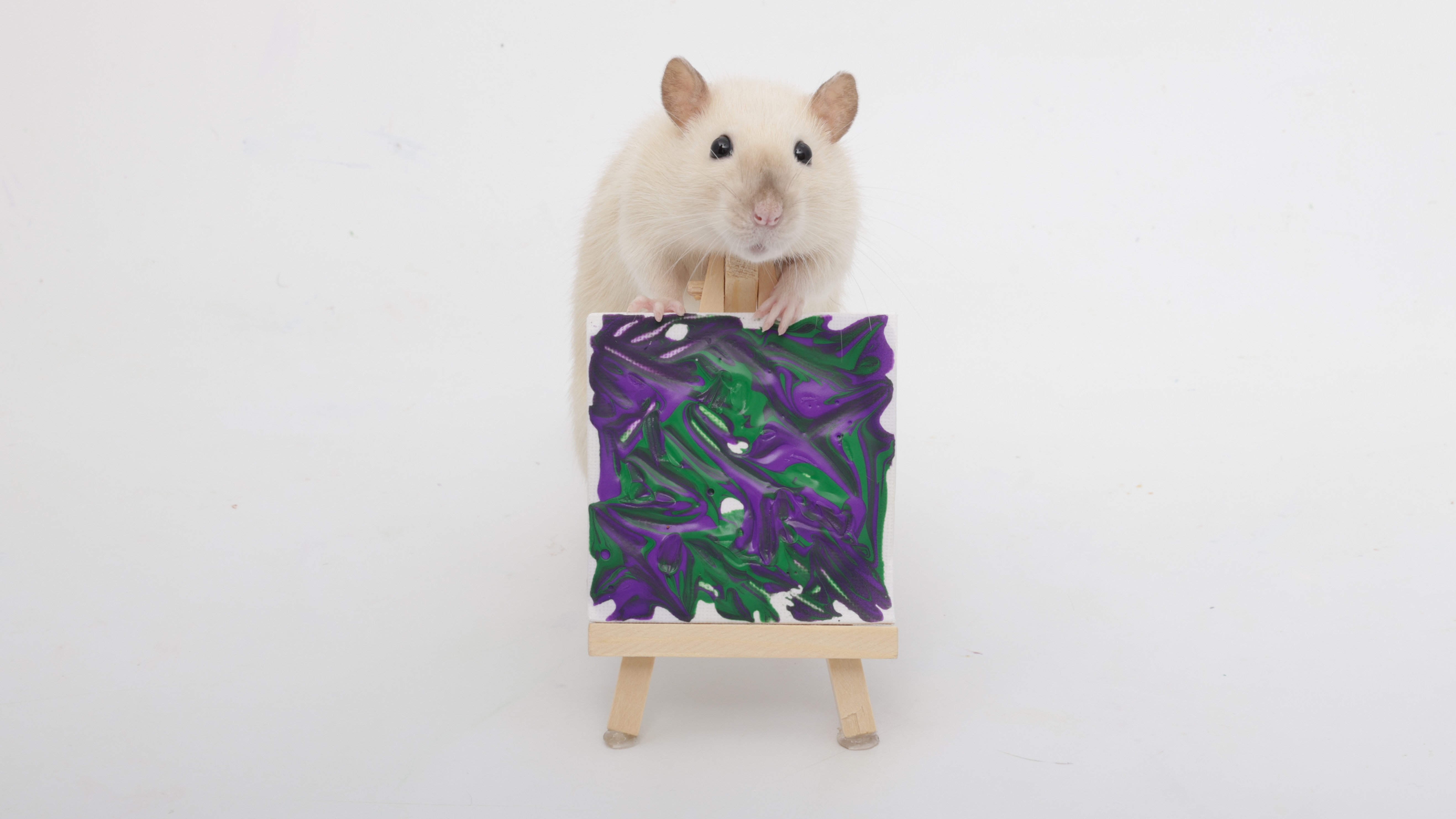 This Week's Adorable Mini Paw Paintings by My Beloved Pet Rats!