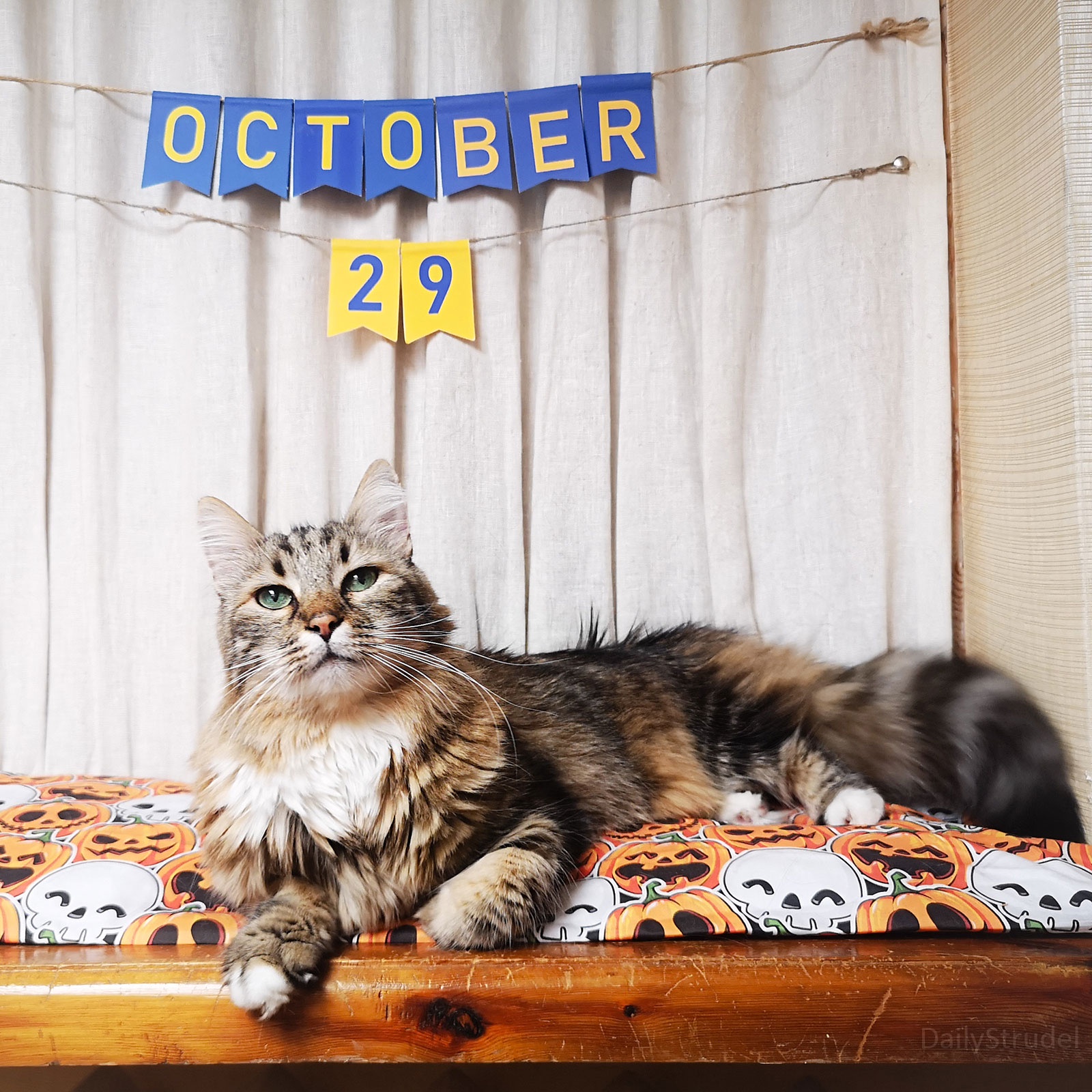 Mark Your Calendars for October 29!