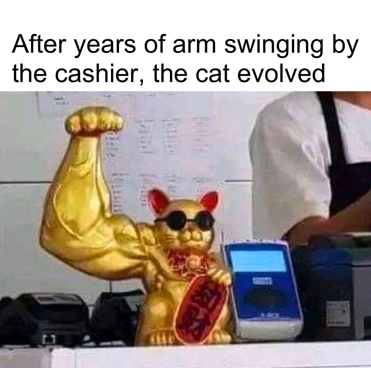 Wednesday Memes for Those Who Need a Laugh
