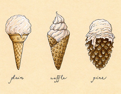 Mmm, delicious pinecone treats!