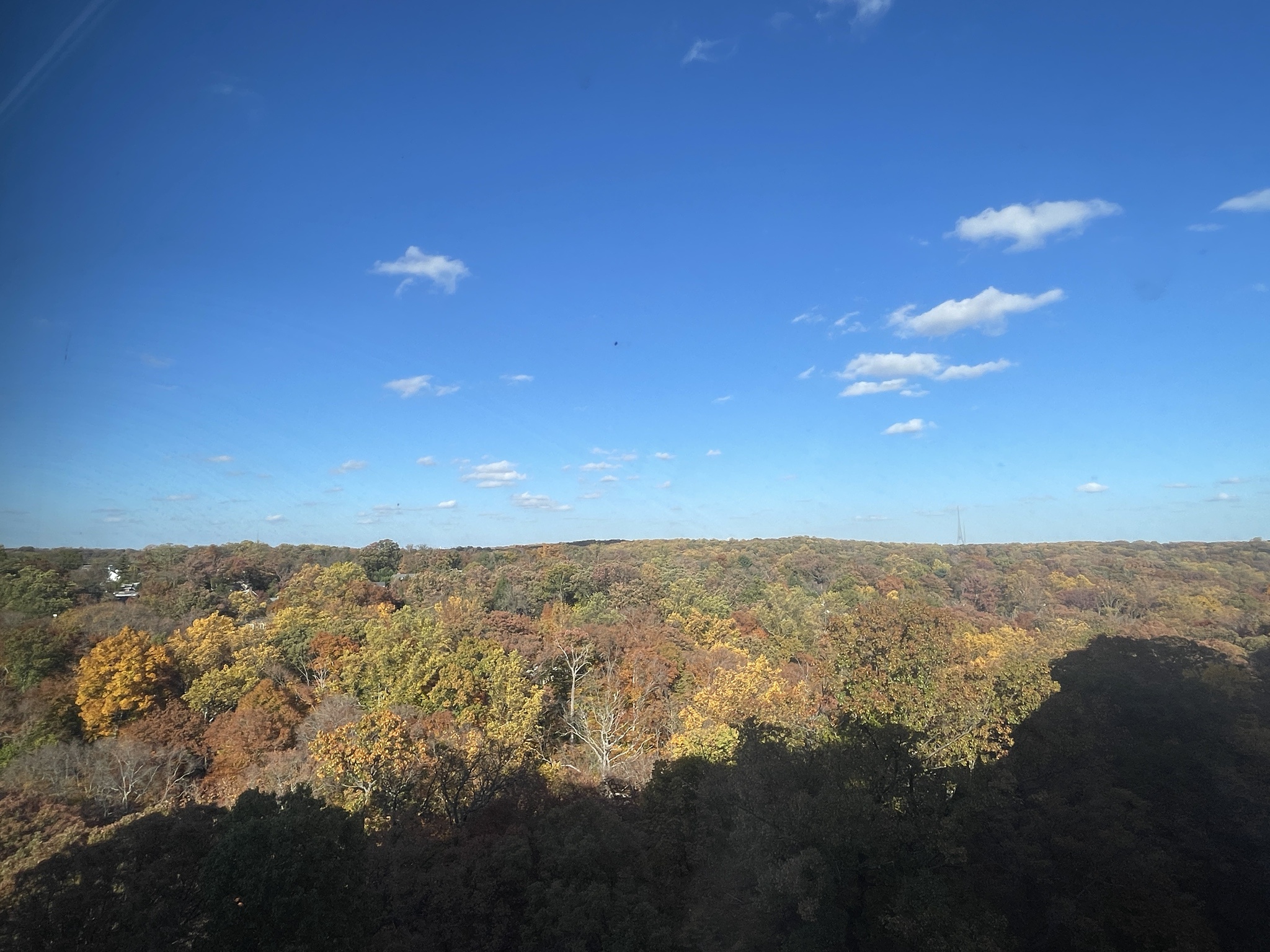 Current view of DC, gazing over Rock Creek Park
