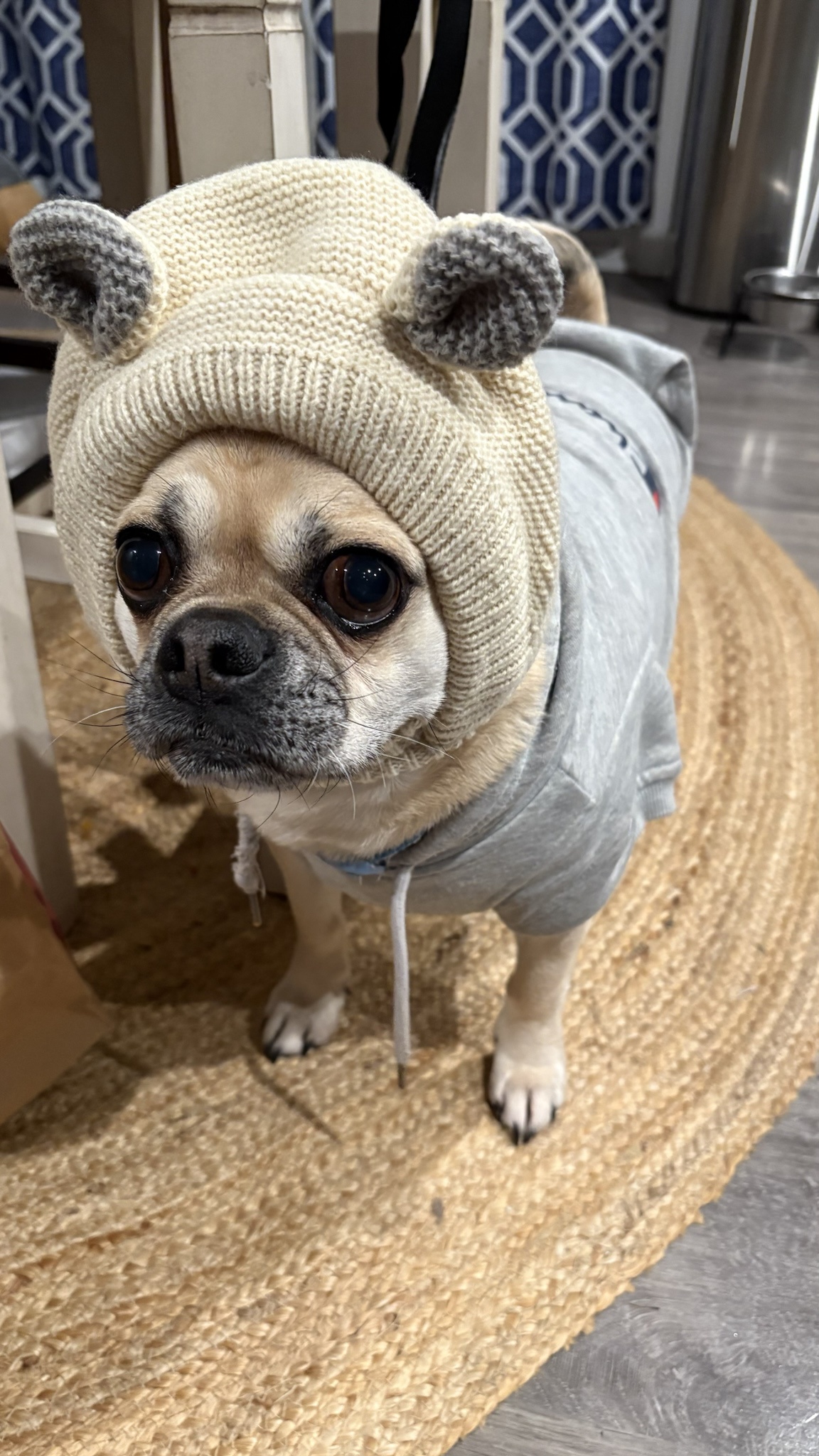 Cozying Up to Stay Warm