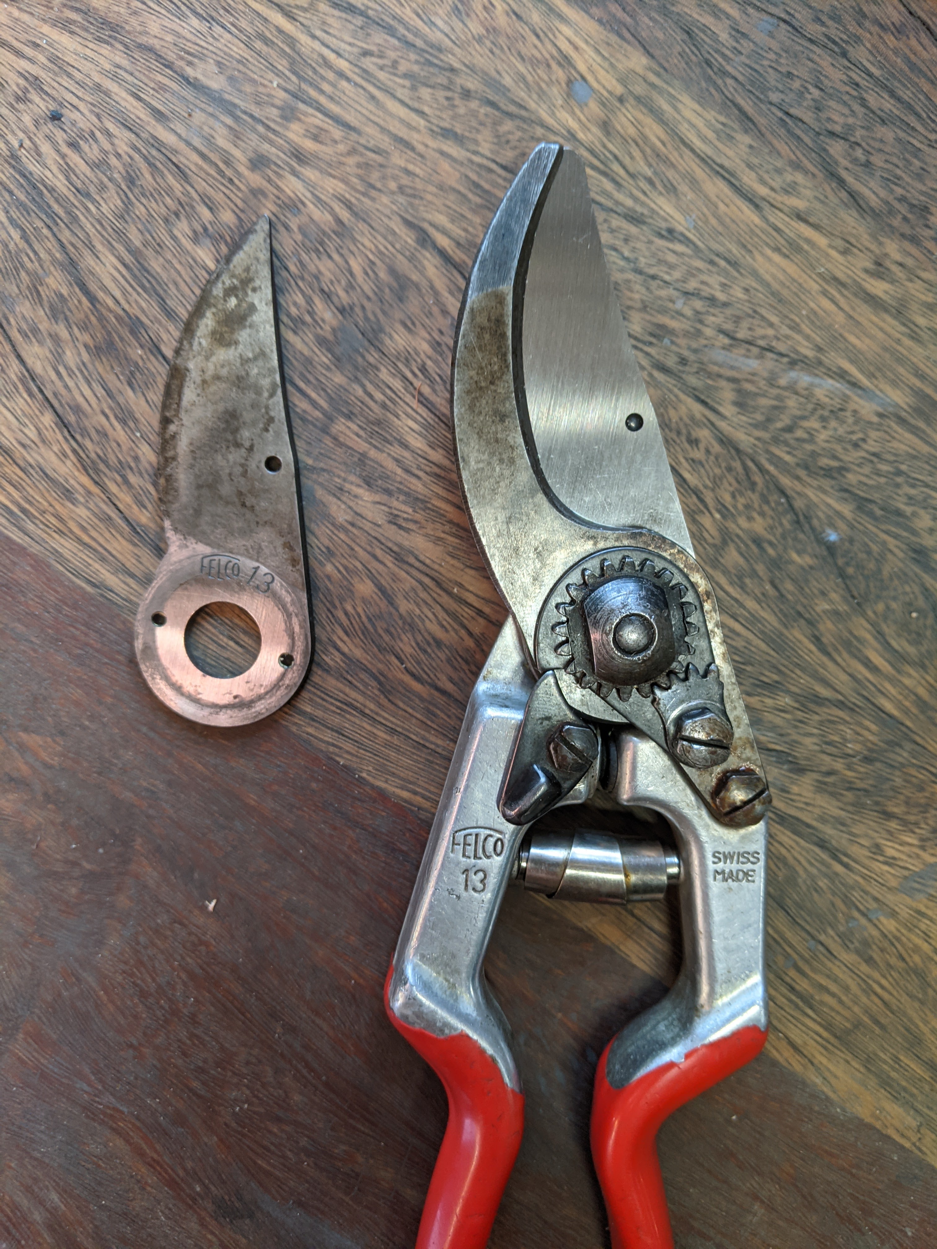 The Ultimate Guide to Felco Pruners