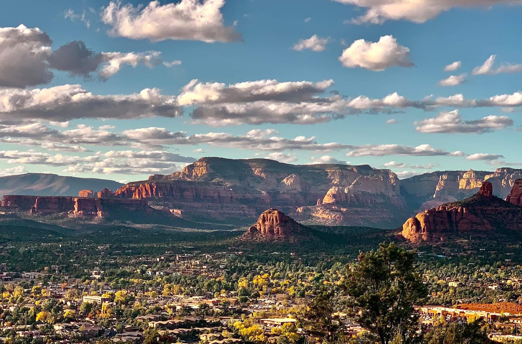 Embracing the Beauty of Nature: A Visual Journey