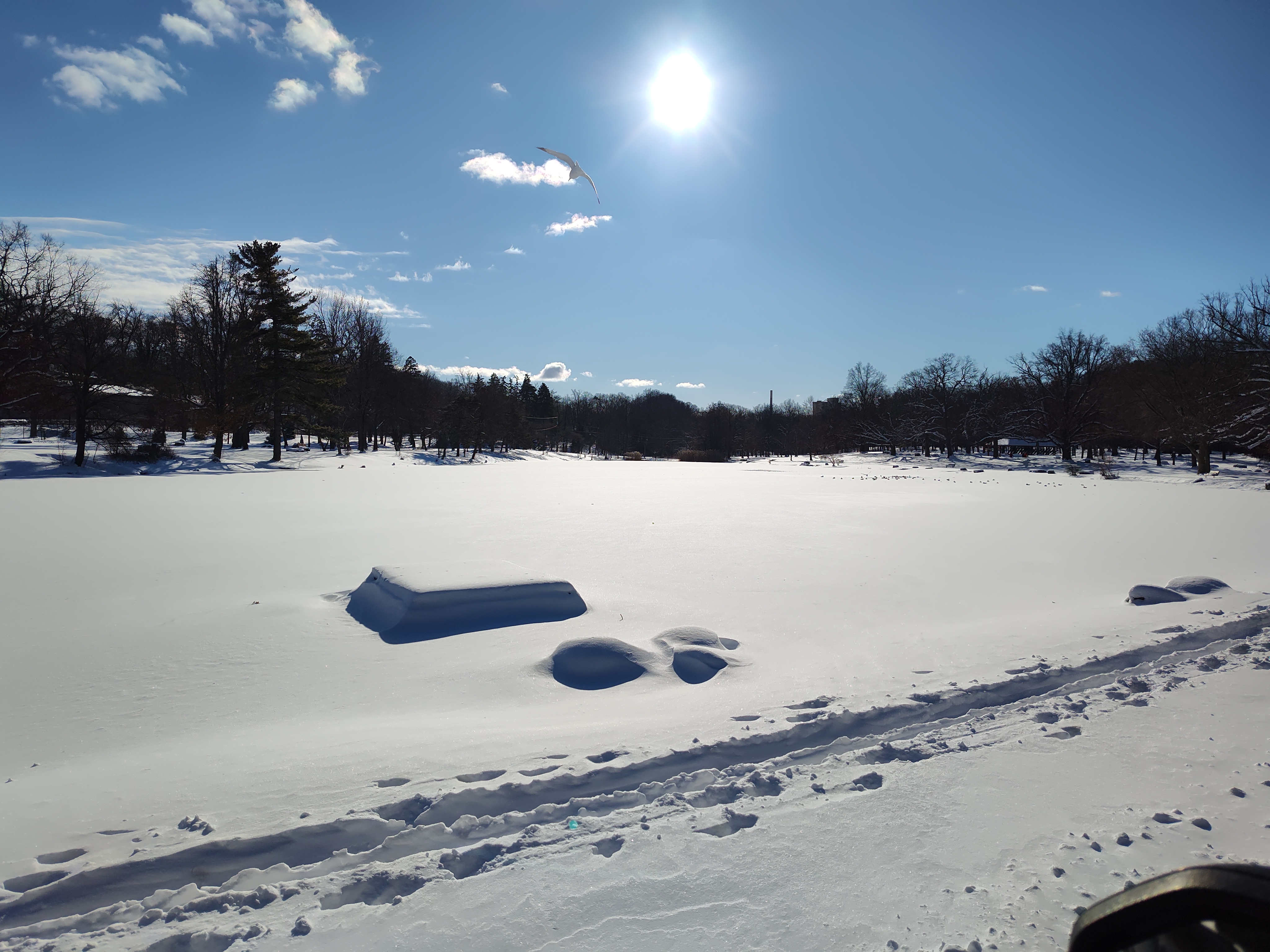 Frozen in Time: Seneca Park, Rochester NY at 5 Degrees