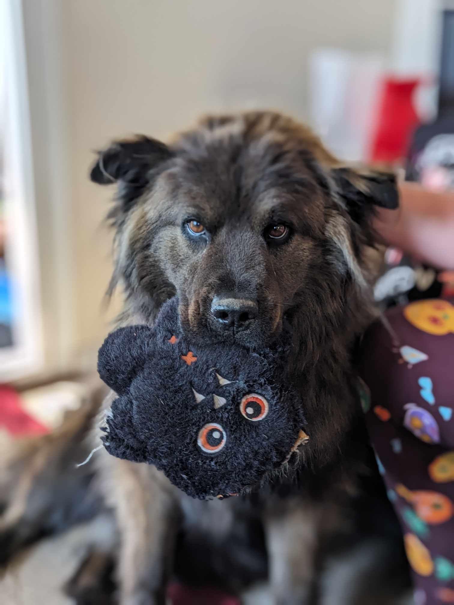 Dennis Enjoying Time with His Favorite Buddy