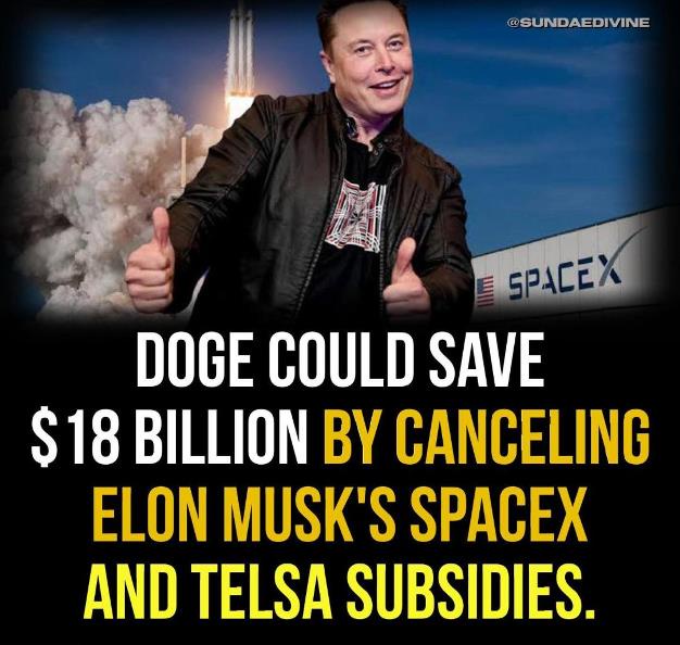 Elon Musk's SpaceX and Tesla Subsidies Total a Whopping $18 Billion