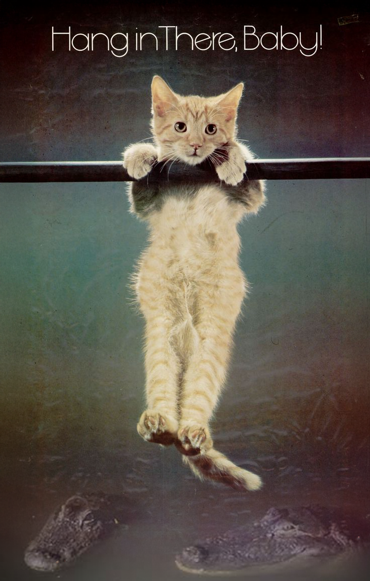 Keep Hanging in There, Little One!
