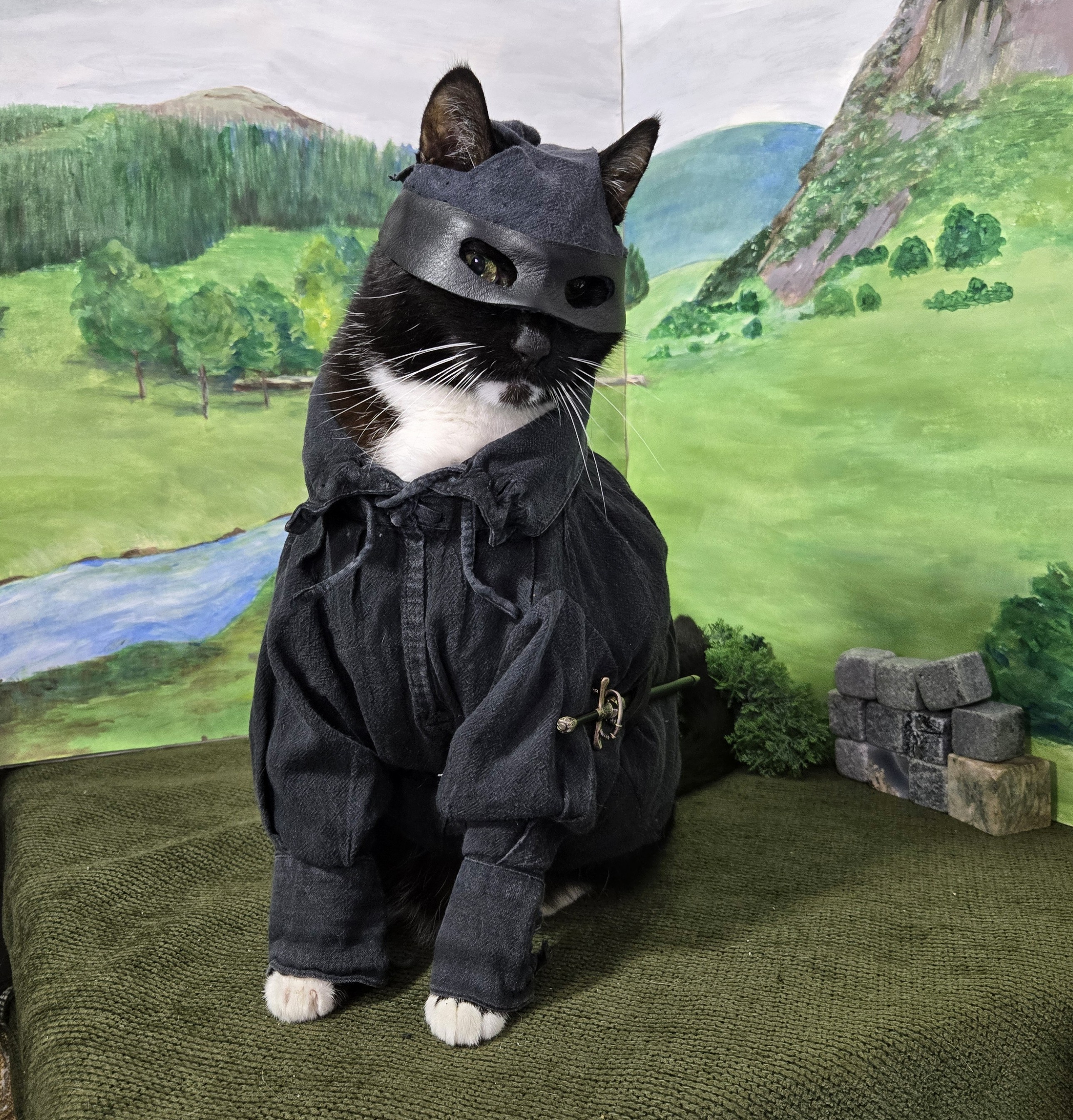 Meet the Fearsome Dread Purr-ate Roberts