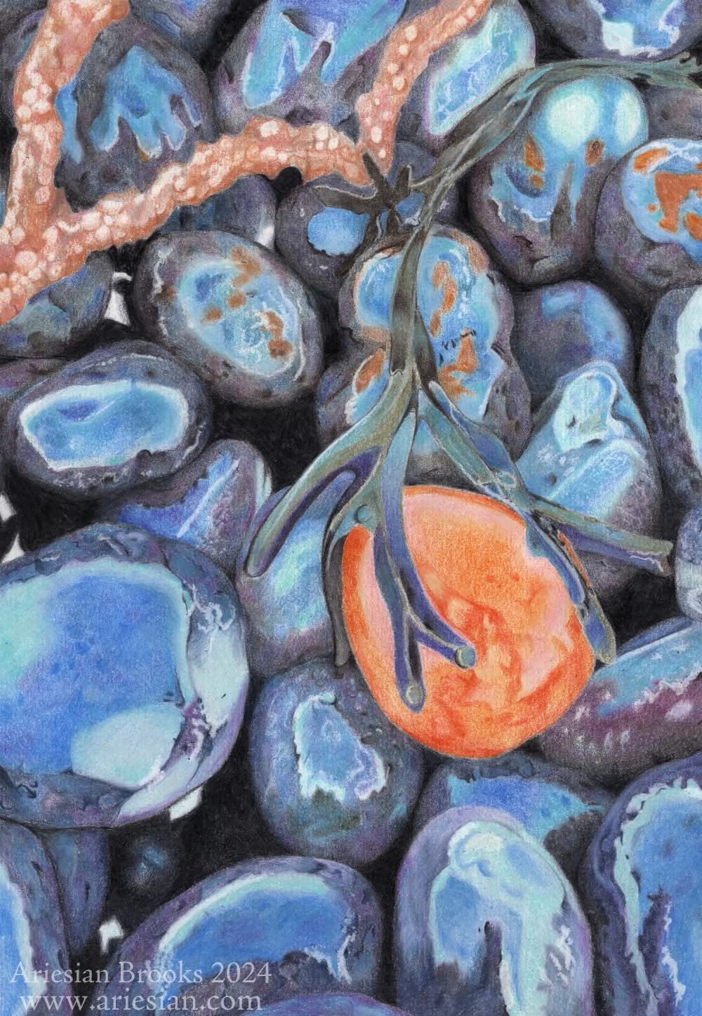 Stones and Seaweed: An Unlikely Pairing