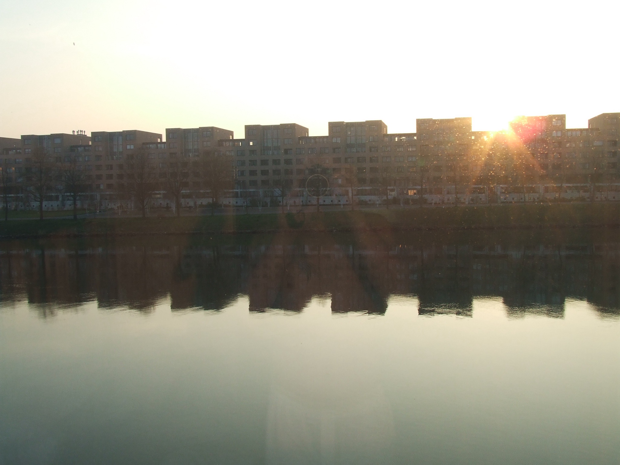 Snapshots from Near and Far: A Collection of Memories