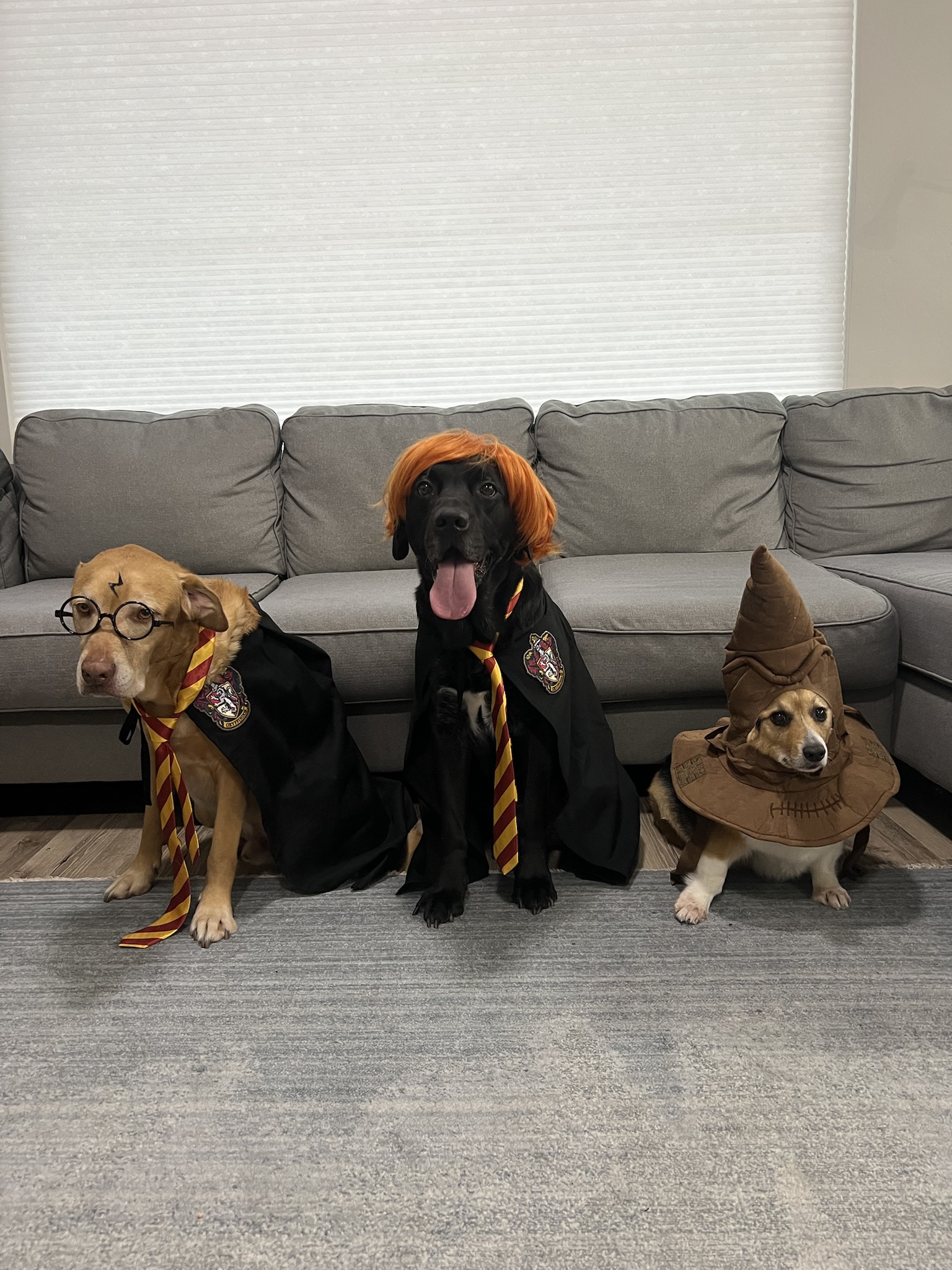 It's that magical time of year again—Halloween is here, and the boys couldn't be more excited!