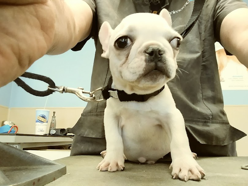 Help Us Choose a Name for This Adorable Creature!