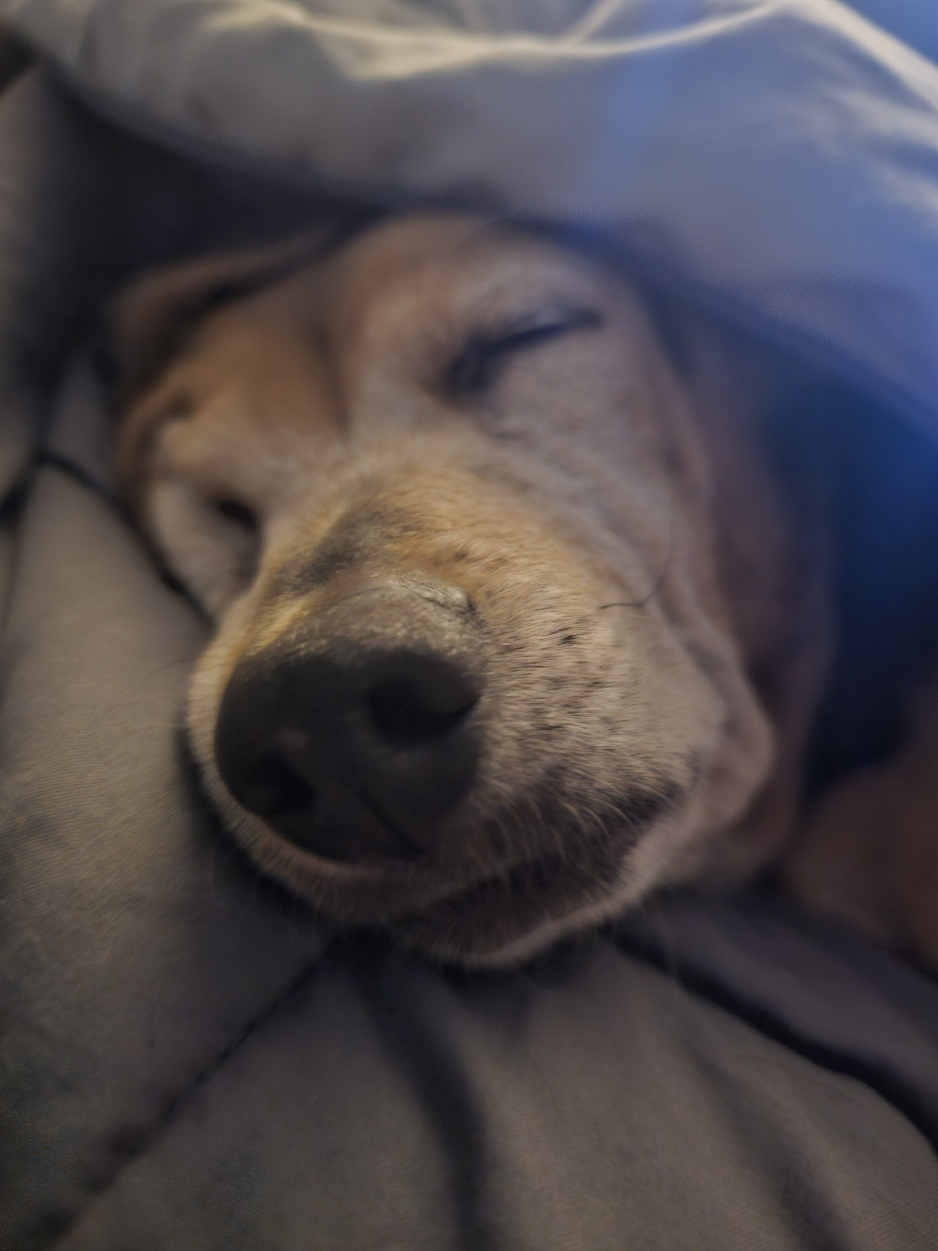 Pepper is definitely onto something great!