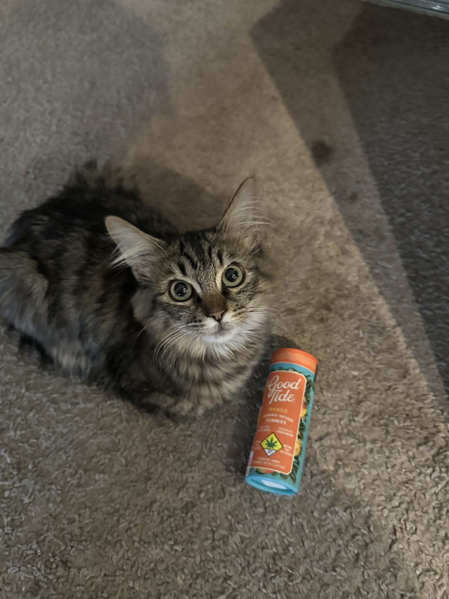 When Your Hands and Paws Become Mangos: A Whimsical Thought