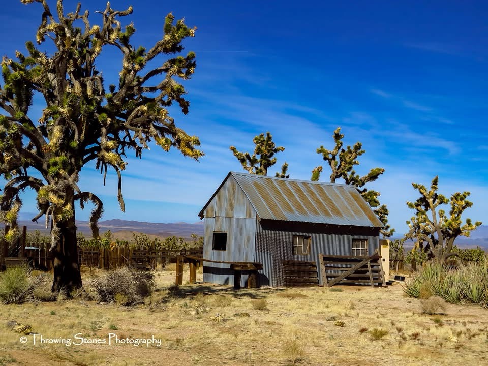 The Haunting Beauty of Abandonment
