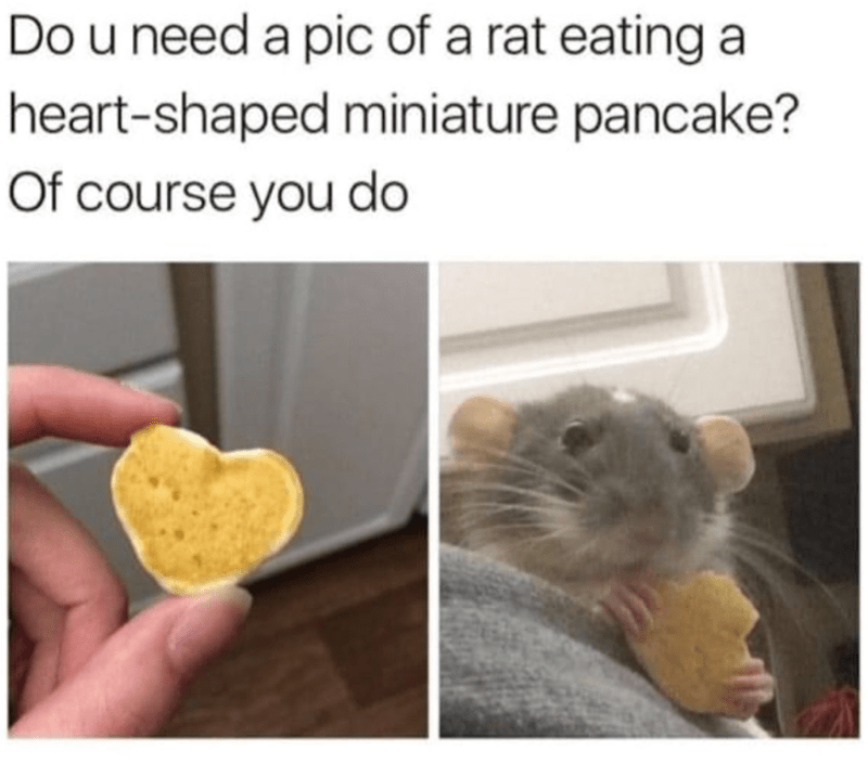 A Dose of Happiness Coming Your Way!