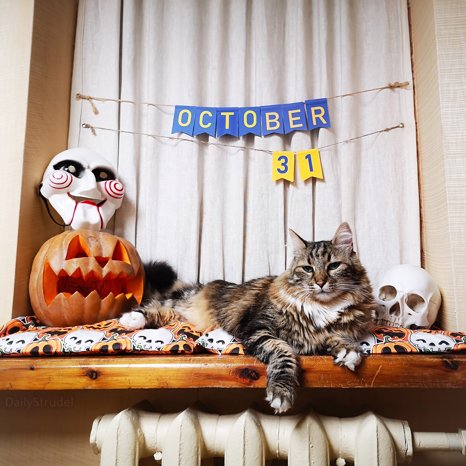 Mark Your Calendars: It's October 31st!