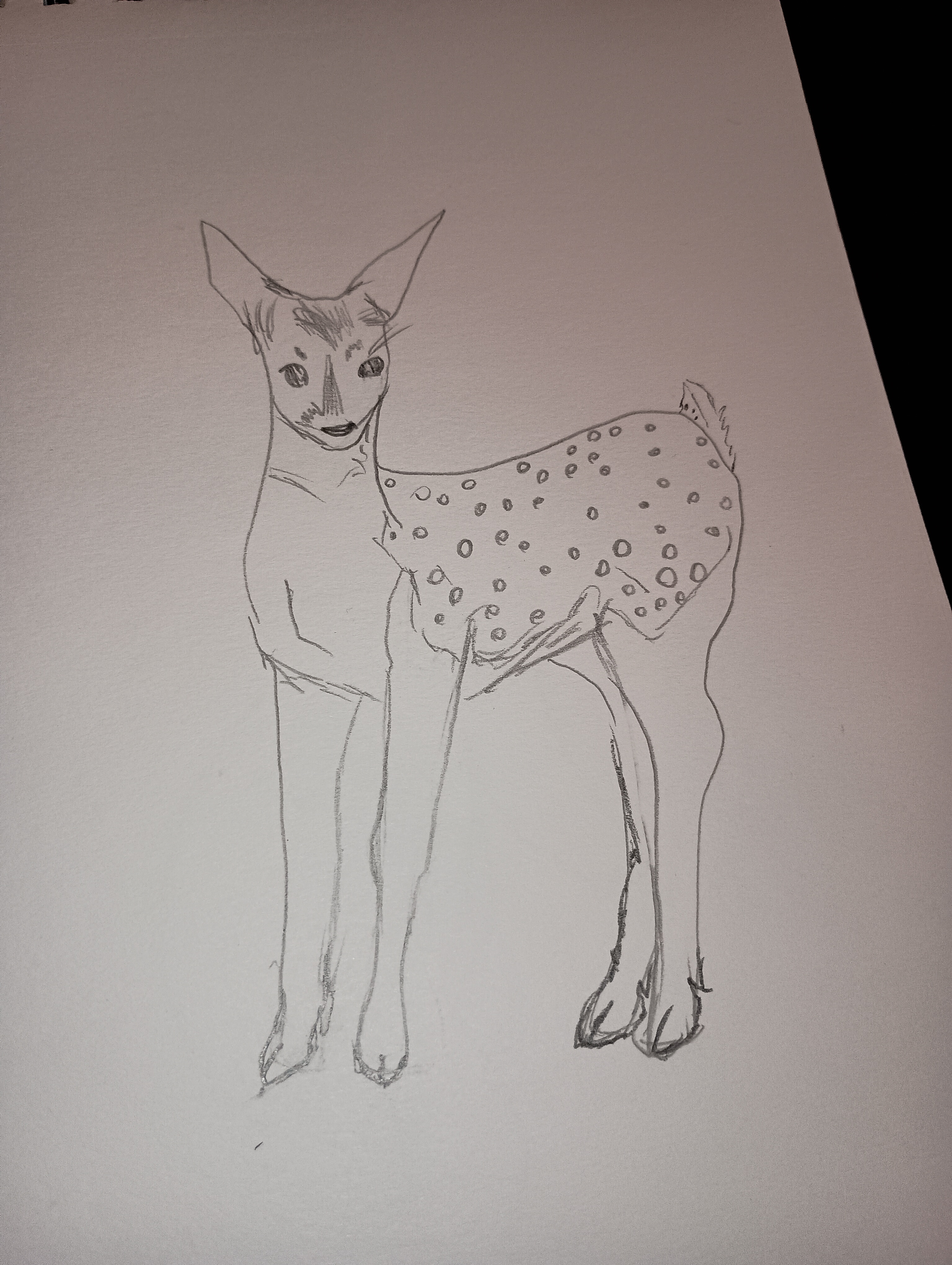 Just a deer being majestic in its natural habitat.