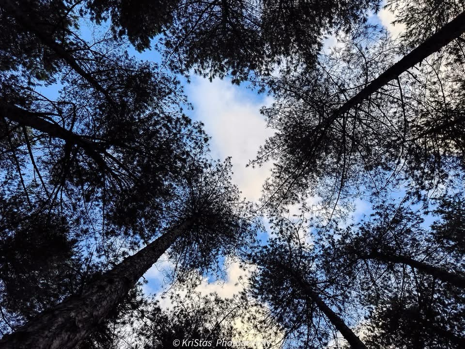 A Beautiful Day Under the Blue Sky