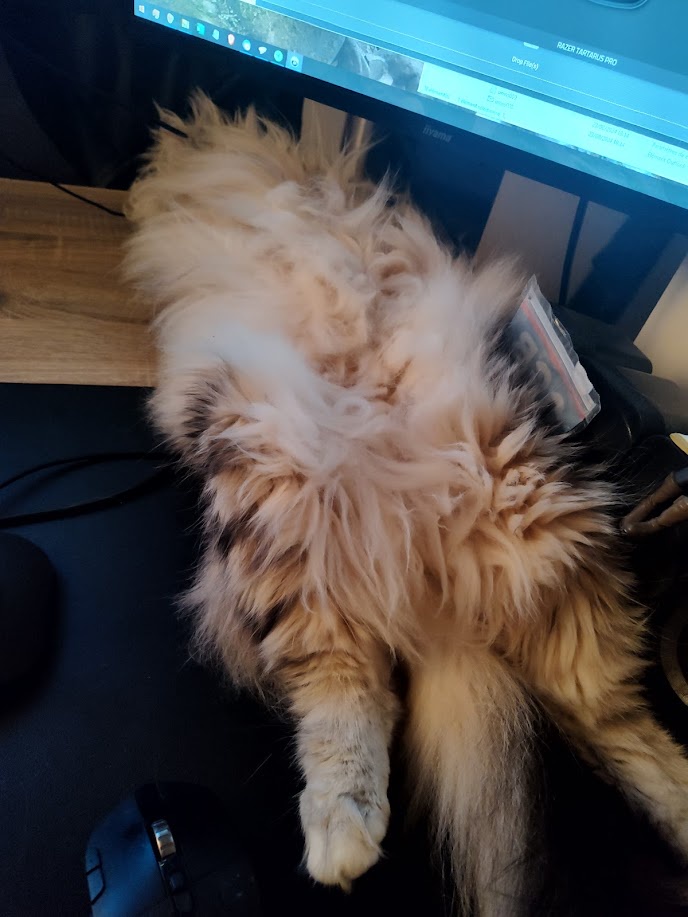 The Backsploot Chronicles