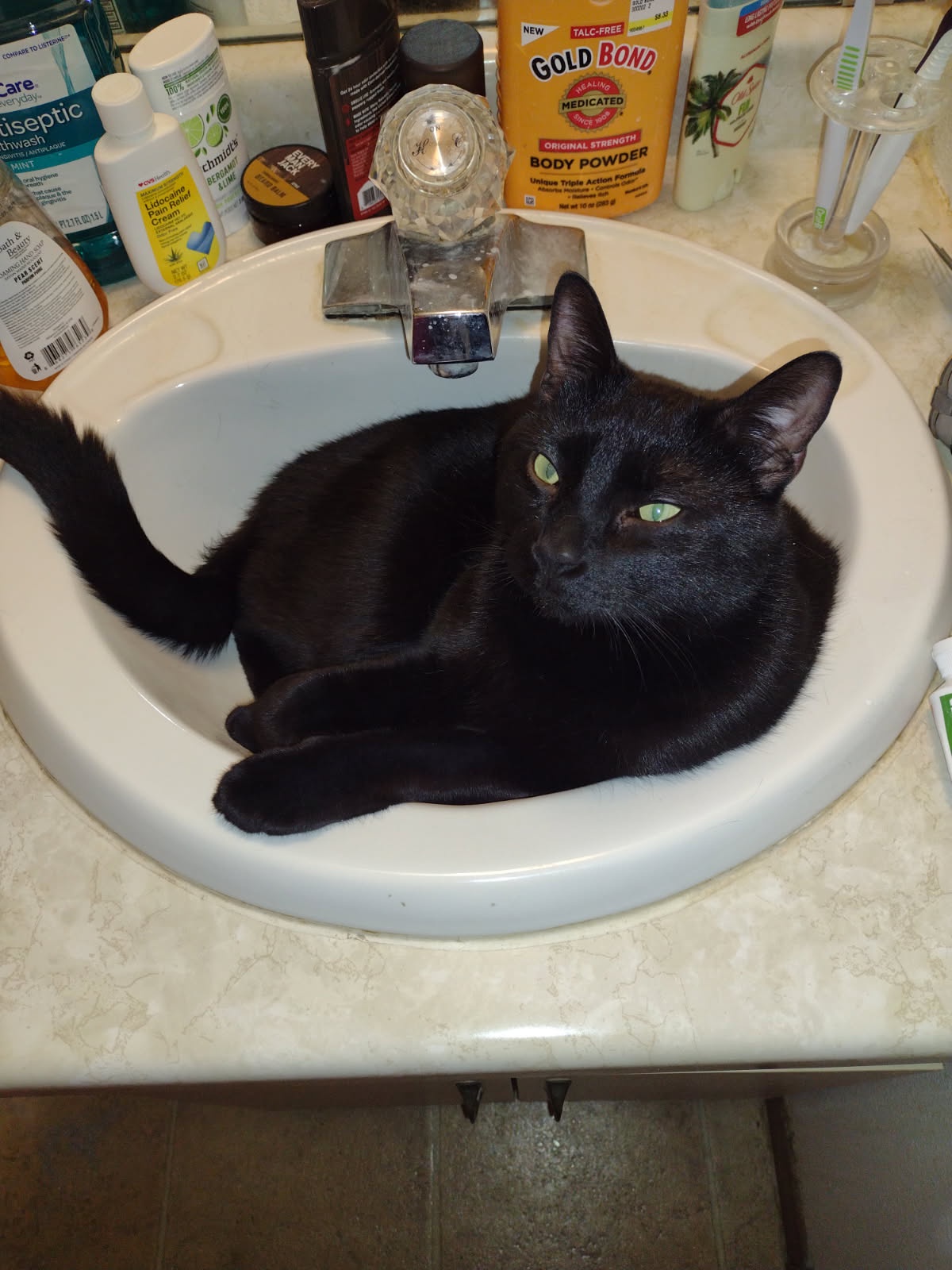 Ronnie in the Sink: A Krays Family Dinner Moment