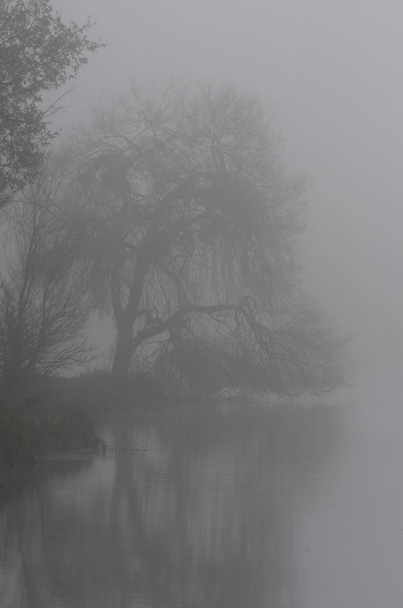 Exploring Etang de Fleix in France - A Hidden Gem