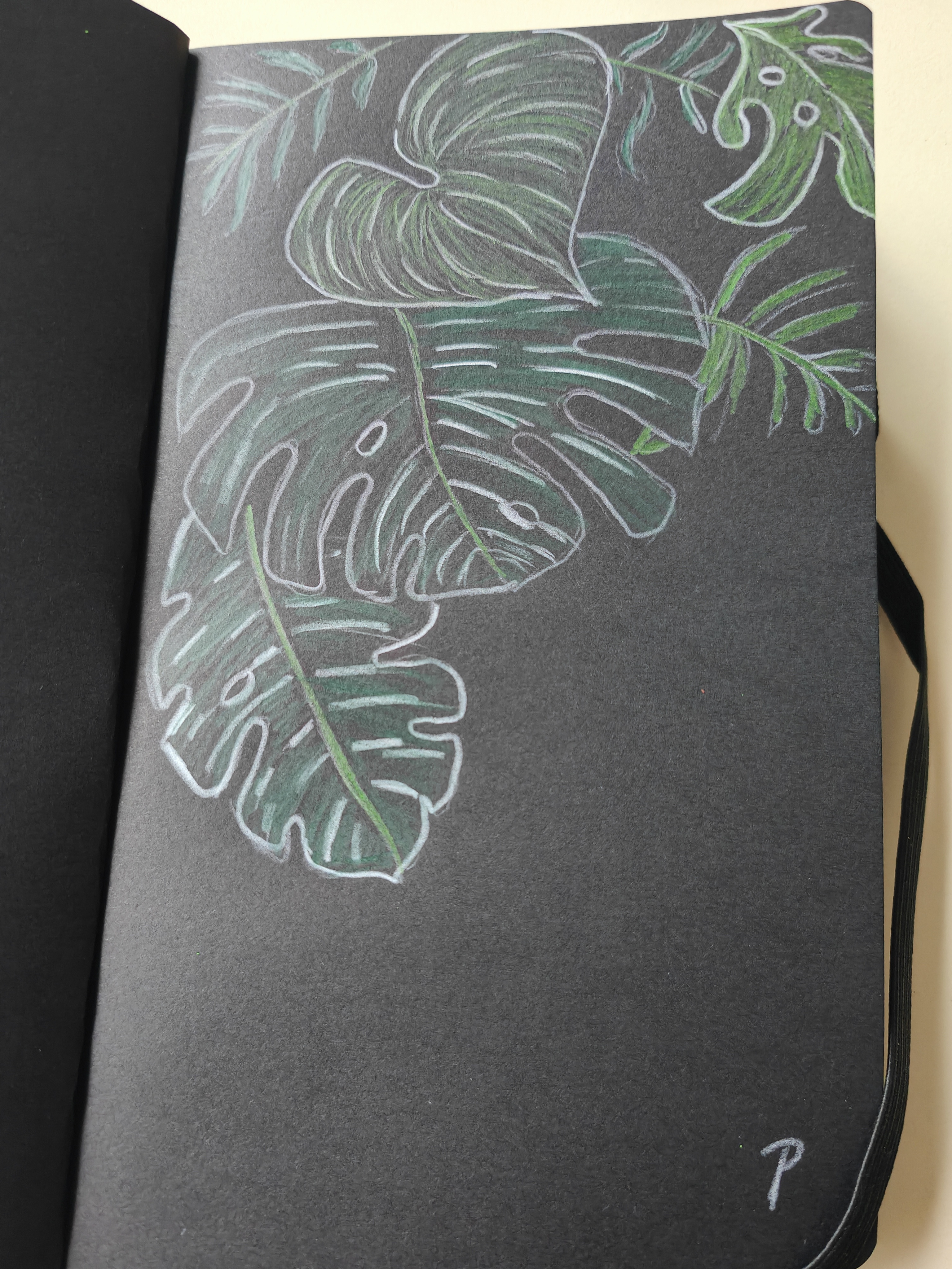 Artistic Expressions: Sketches of Plants