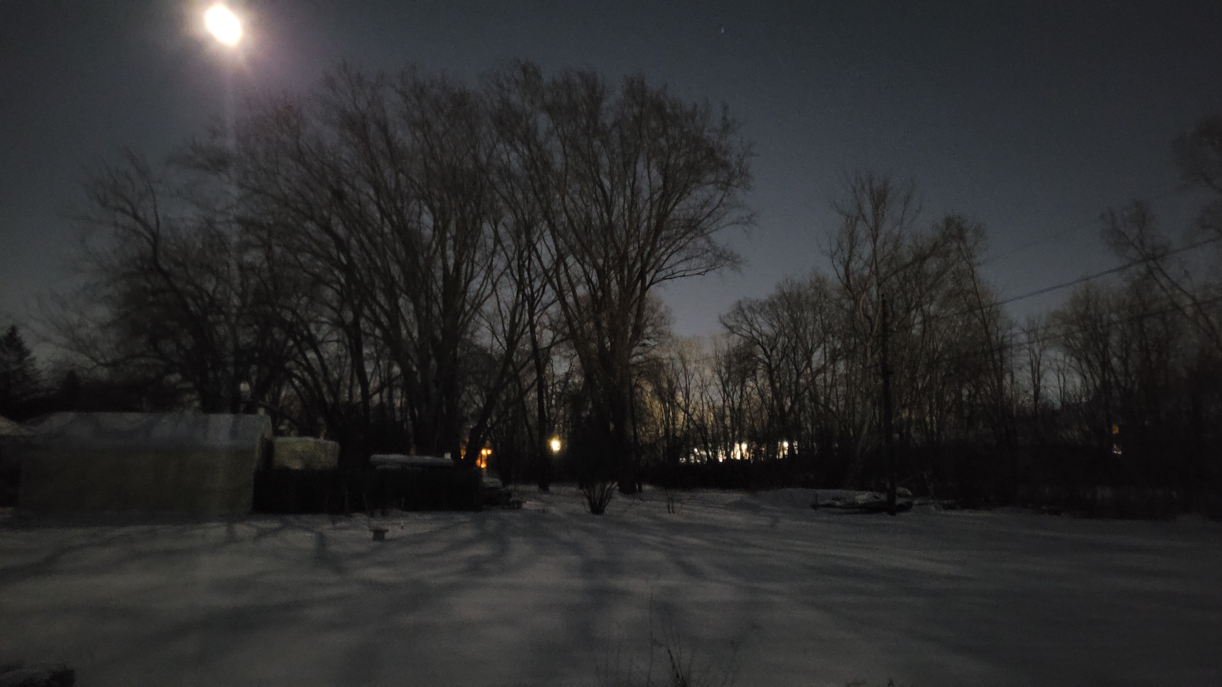 Moonlit shadows dancing on fresh snow