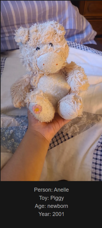 Celebrating Day 831: 659 New Posts and Our Beloved Childhood Toys!