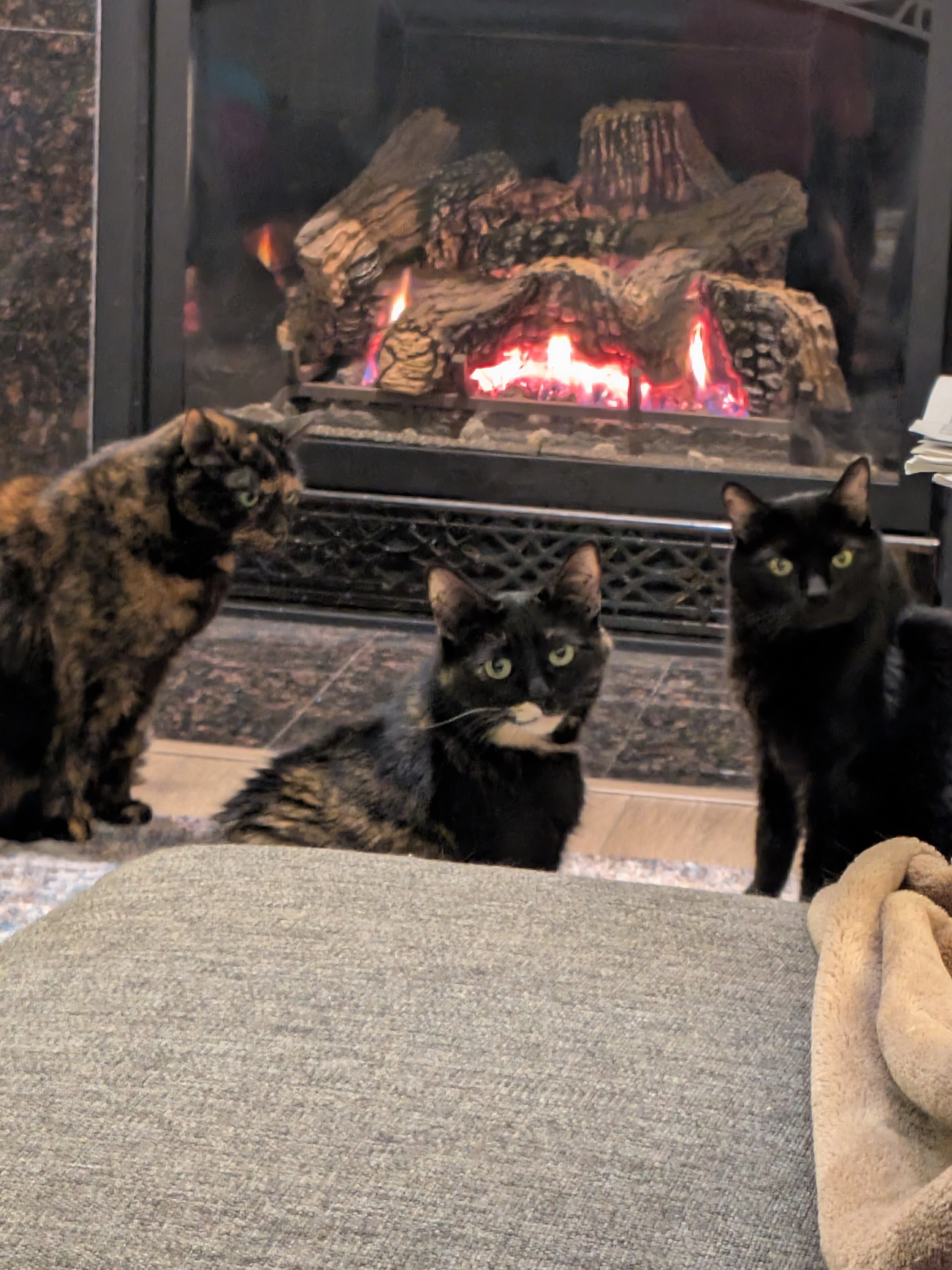 Meet Spaz, Smudge, and Splunk: The Quirky Trio