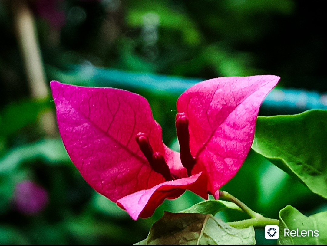 Captivating Moments: A Showcase of Beautiful Photography