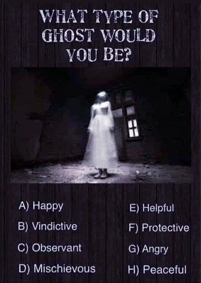 Found This Silly Gem Elsewhere and Just Had to Share! #HappyHalloweenSeason