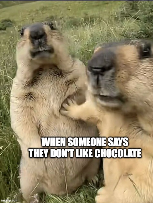 The Ultimate Chocolate Critic