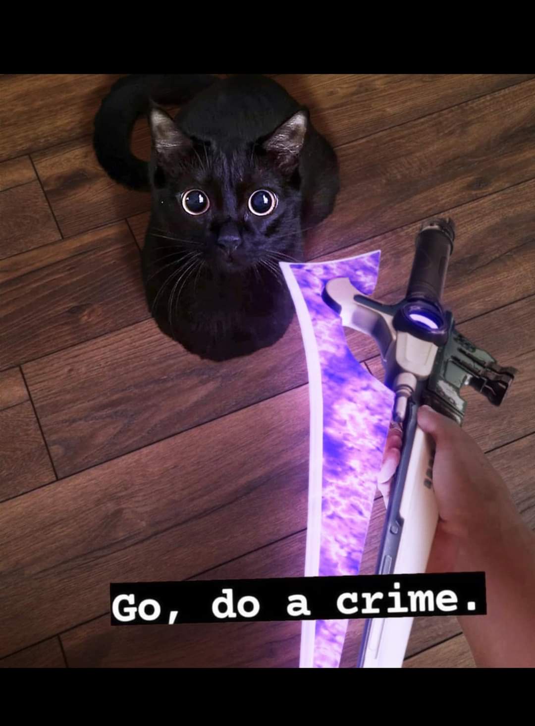 The Expression That Screams: I'm About to Do Something Wild!