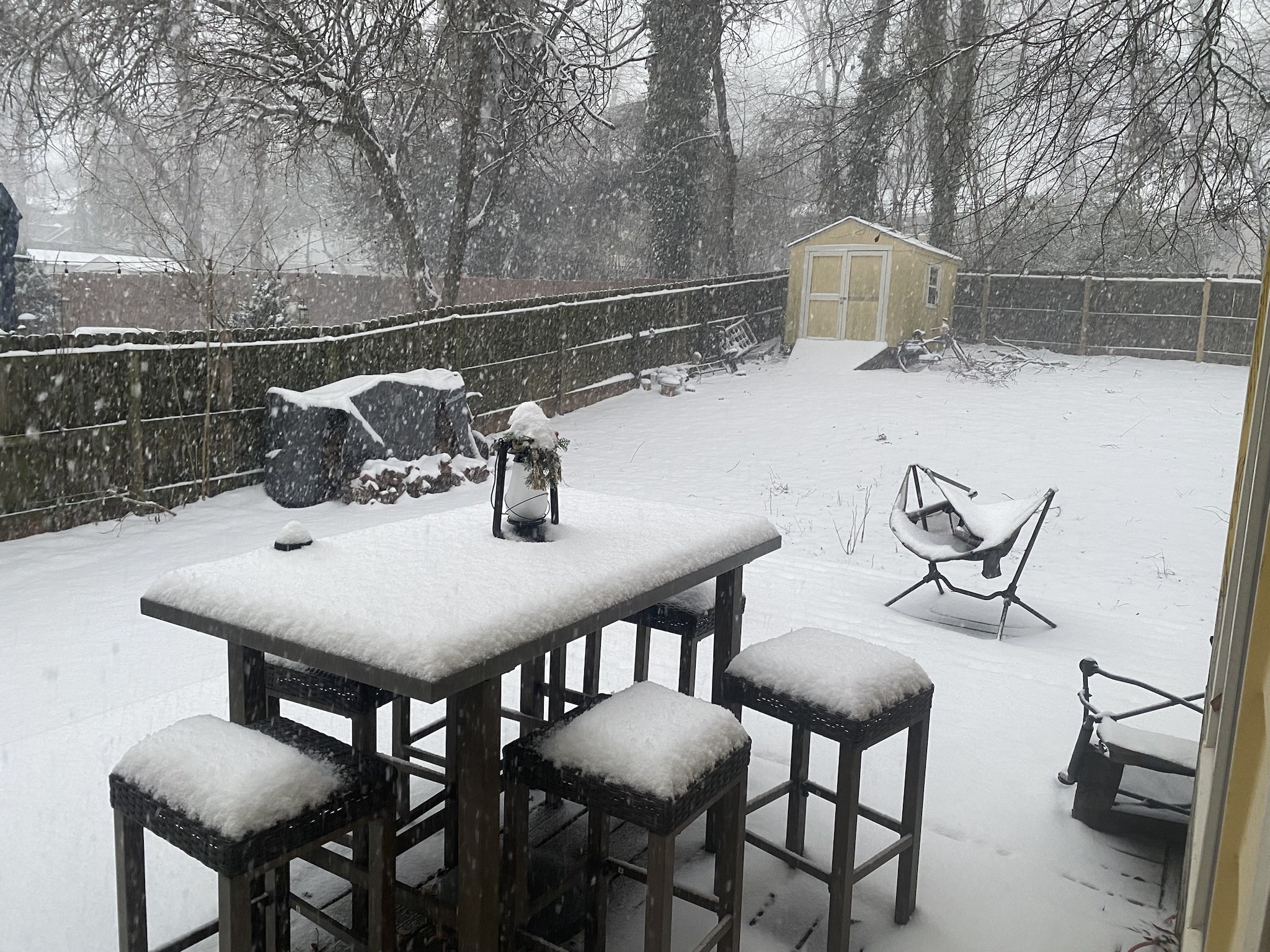 Unexpected Winter Wonderland: Snow Blankets Atlanta