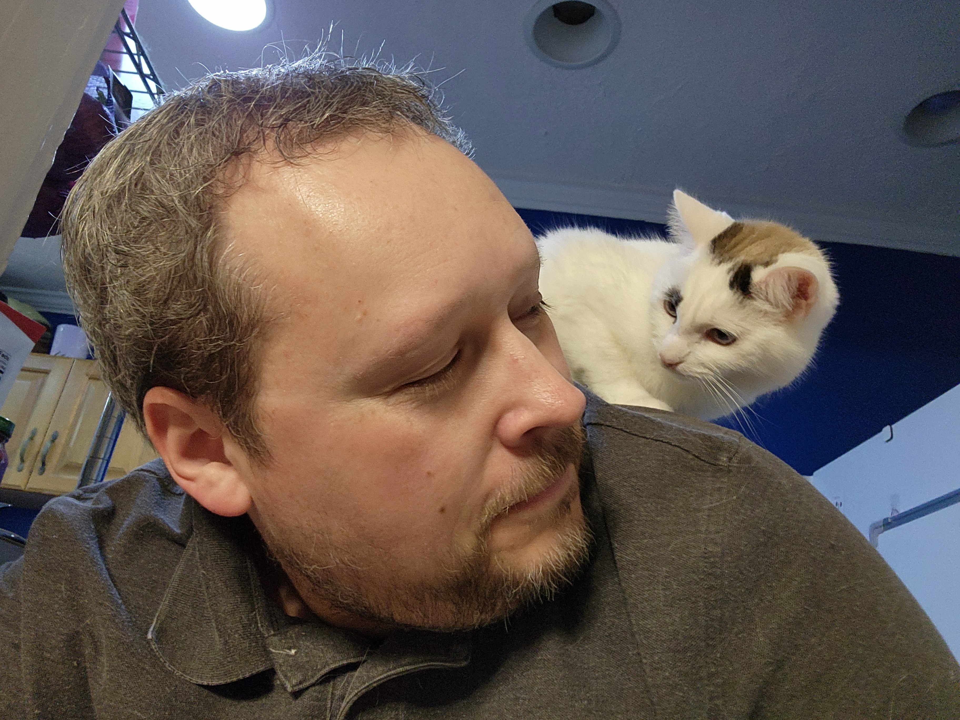 Cloud and I Wish You a Happy Festivathon to All Celebrators!