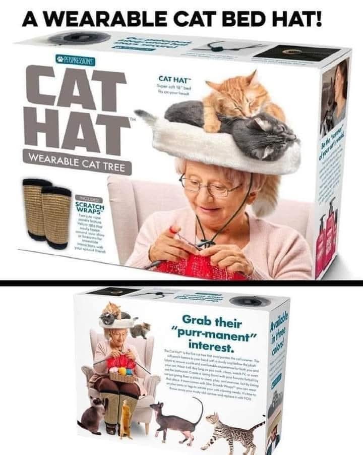 The Purrfect Cat Bed Hat