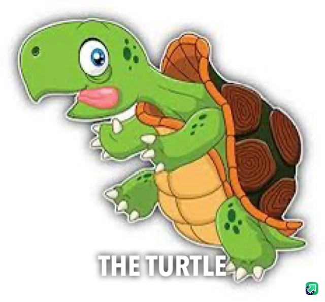 Meet the Adorable Turtle