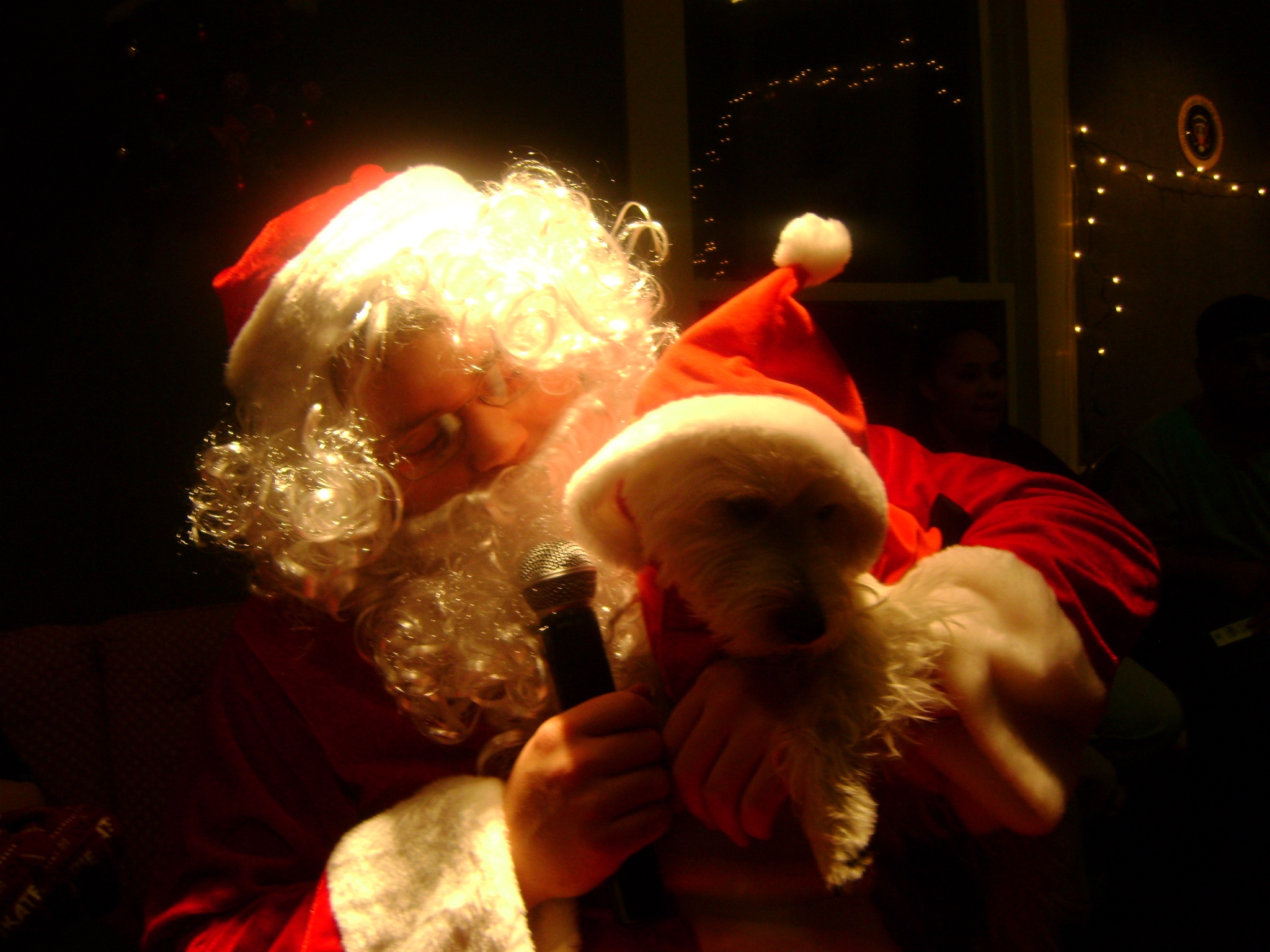The Magical Day Lily Met Santa Claus: A Daily Adventure