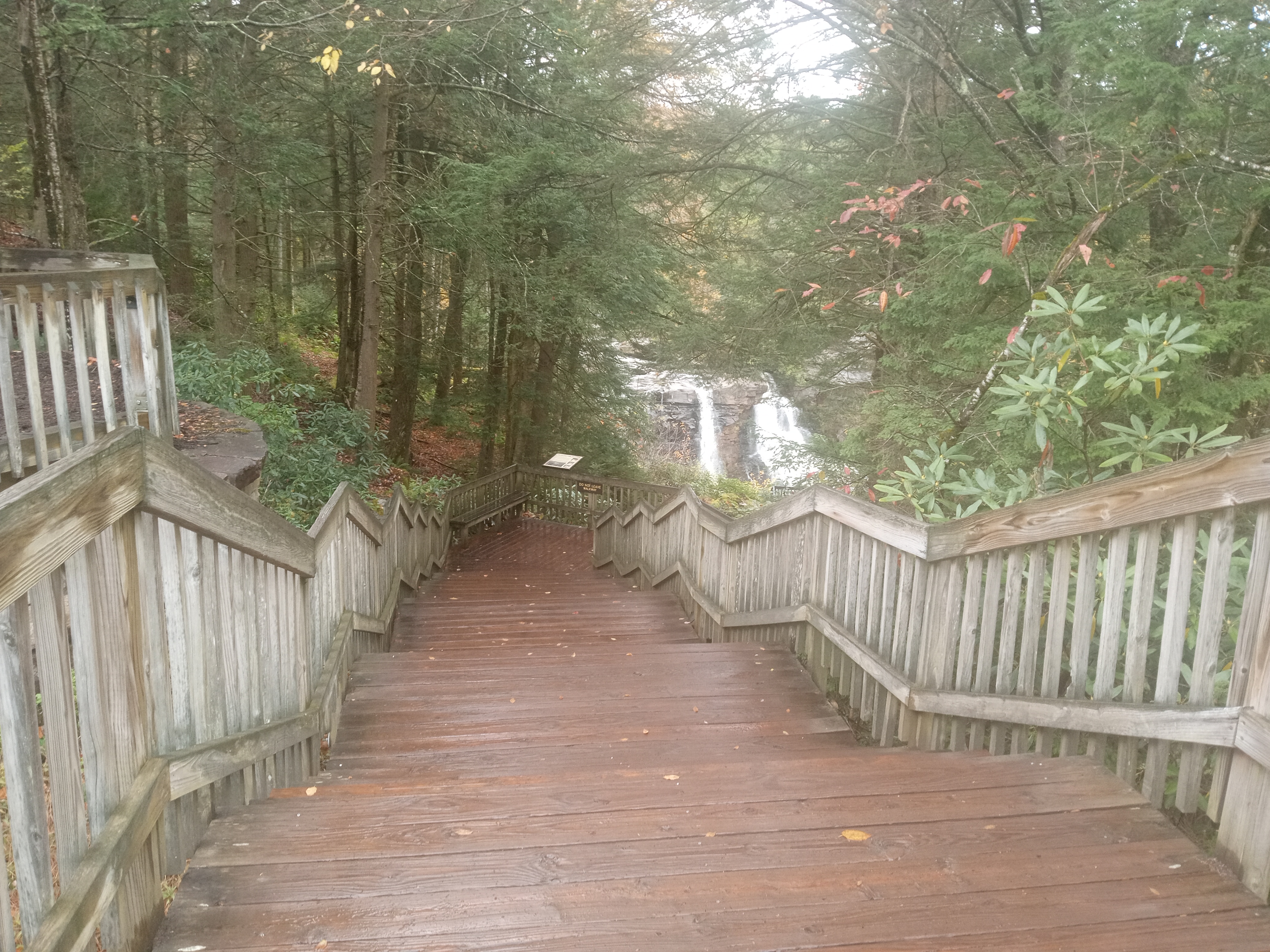 Discover the Stunning Blackwater Falls State Park in Davis, WV on October 16, 2024
