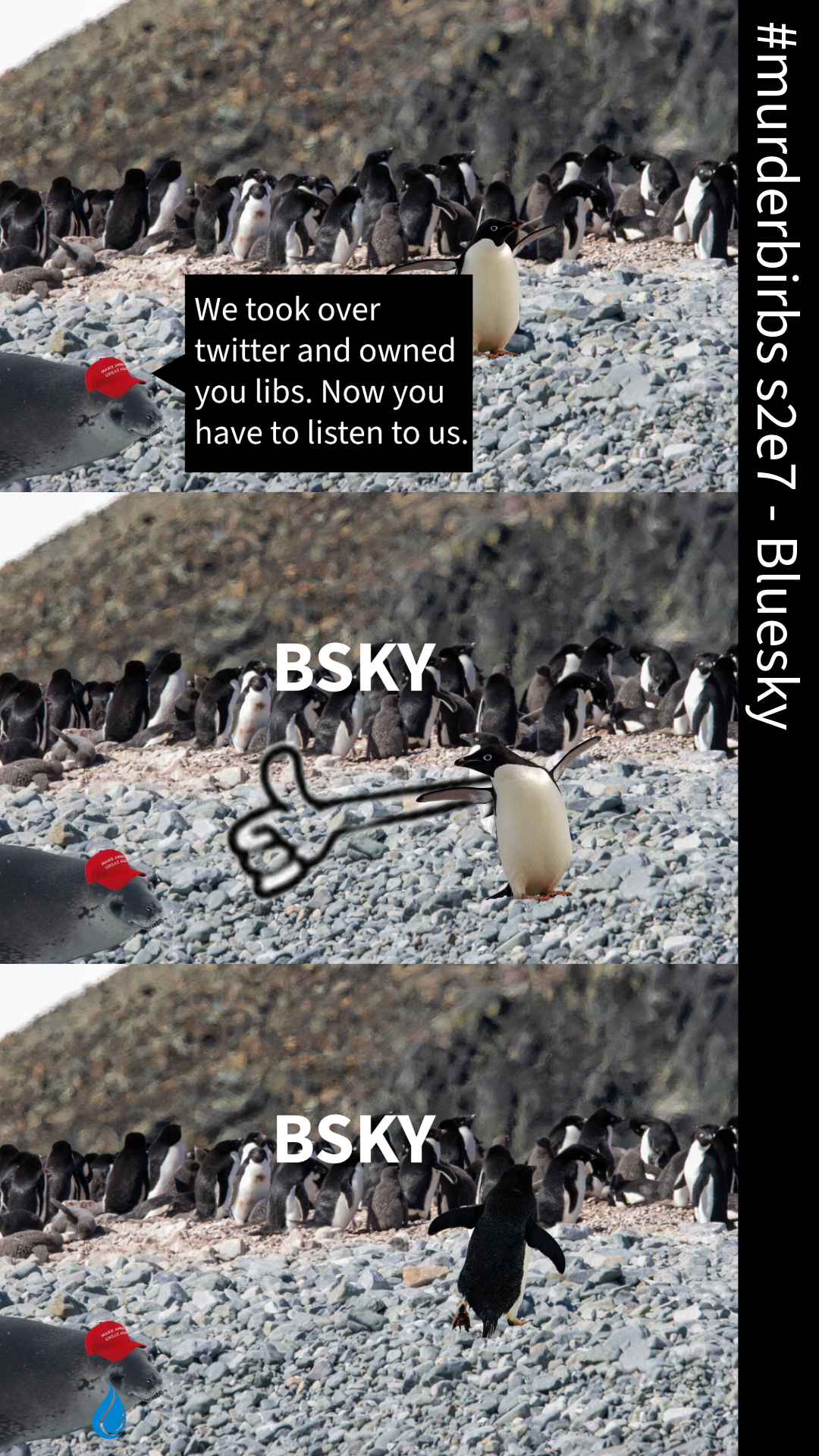 MurderBirbs Season 2 Episode 7: Bluesky Adventures