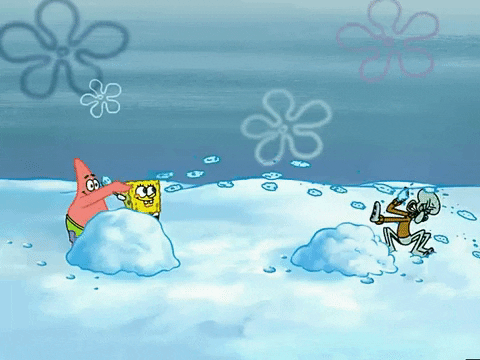 Take that, you pesky pine cones!