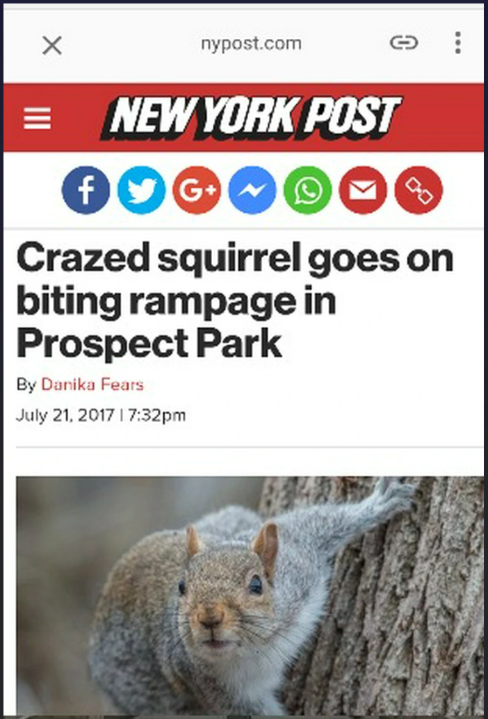 When Peace is Not an Option