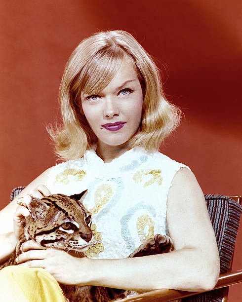 Anne Francis: The Trailblazing Star of 'Honey West'