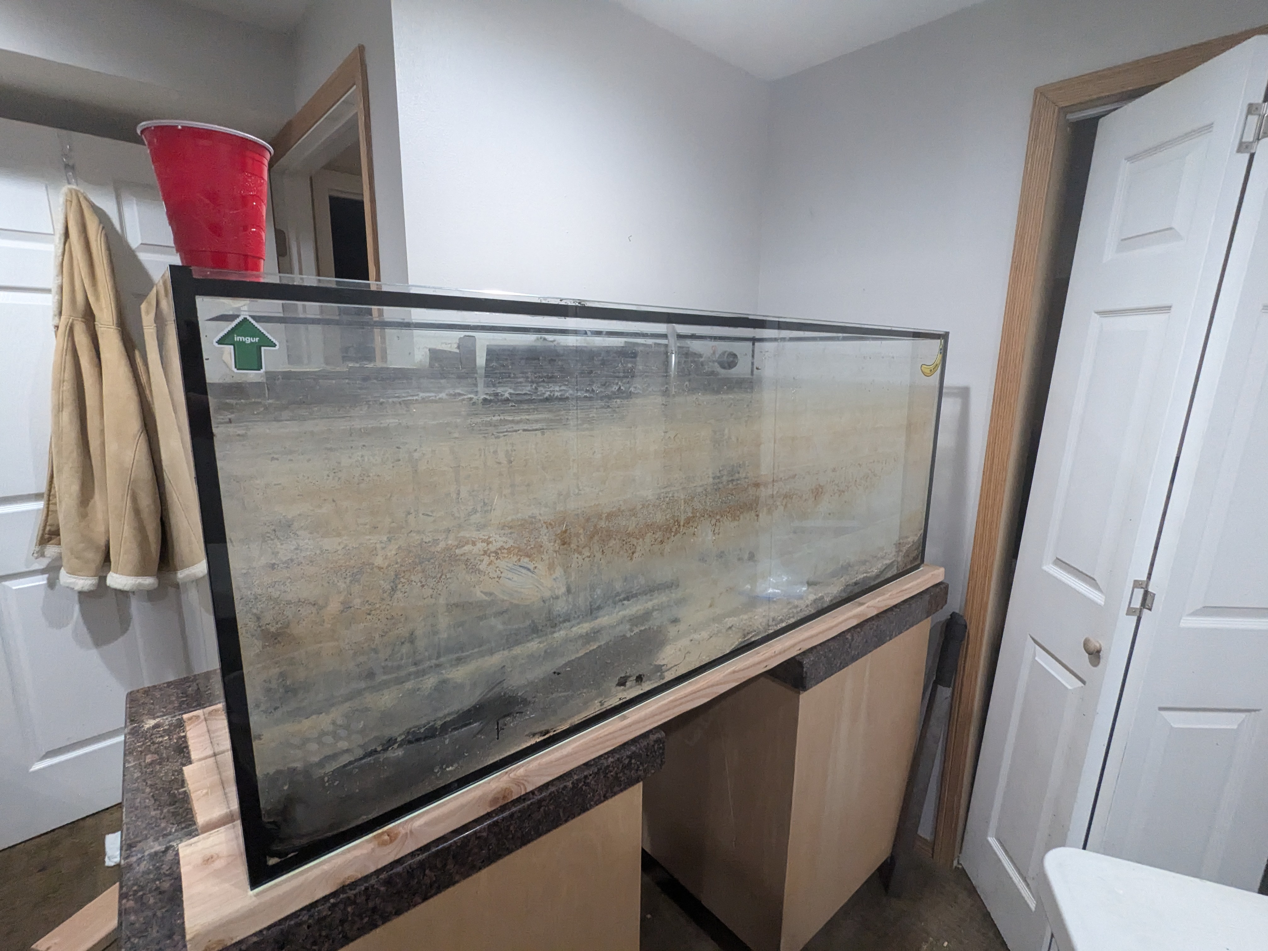 Hey Imgur, I'm the Fish Guy. Here's My Aquarium Nightmare!