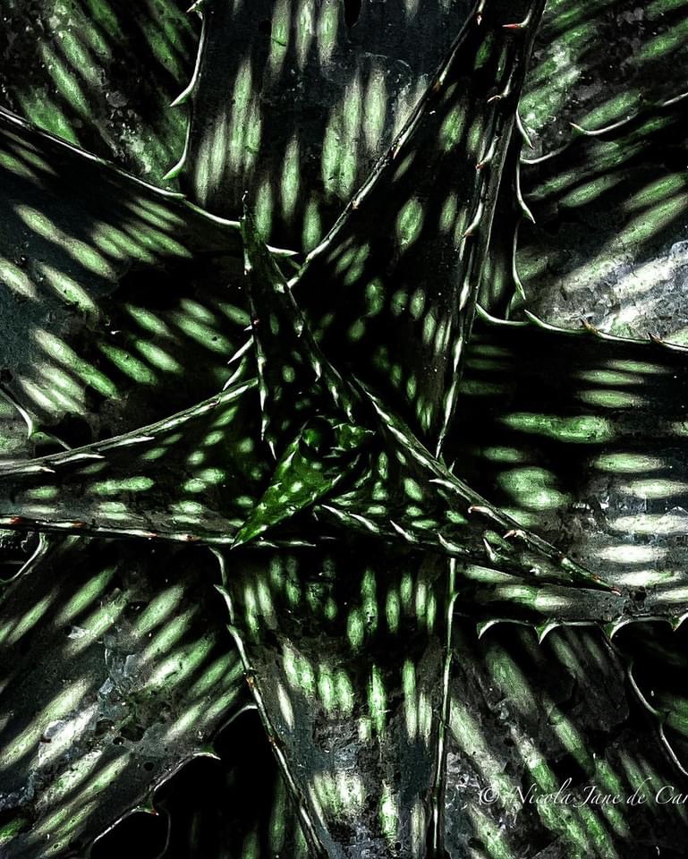 Exploring Intriguing Patterns