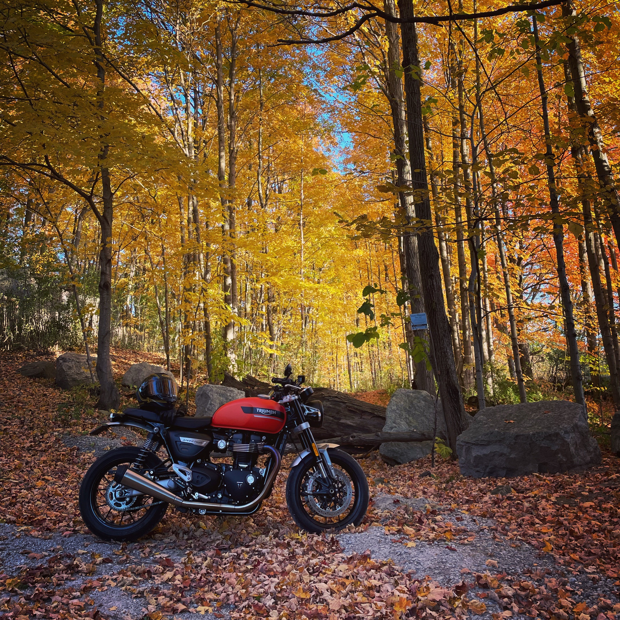 The Mighty Triumph Speed Twin 1200