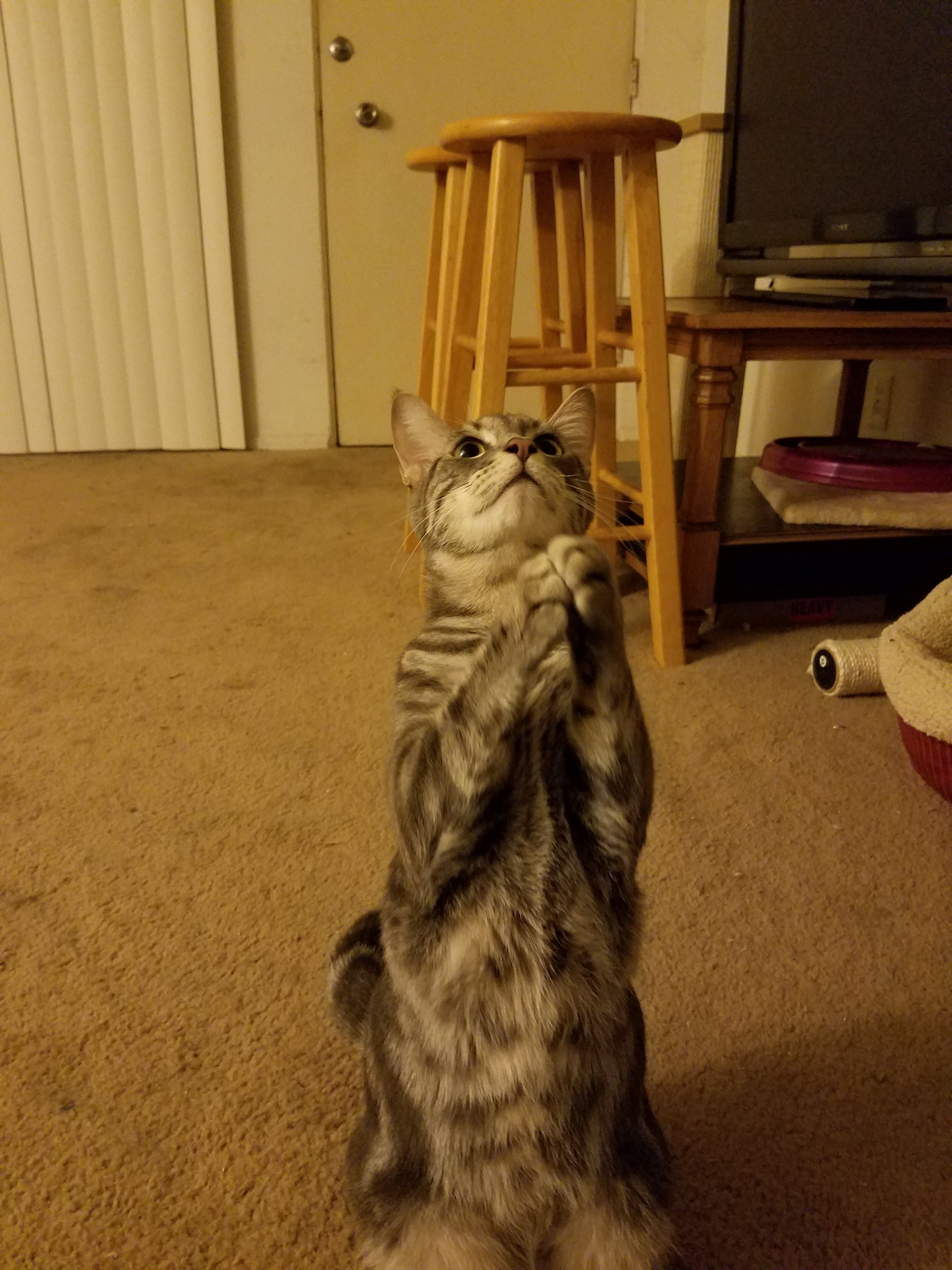 Sending a heartfelt prayer your way