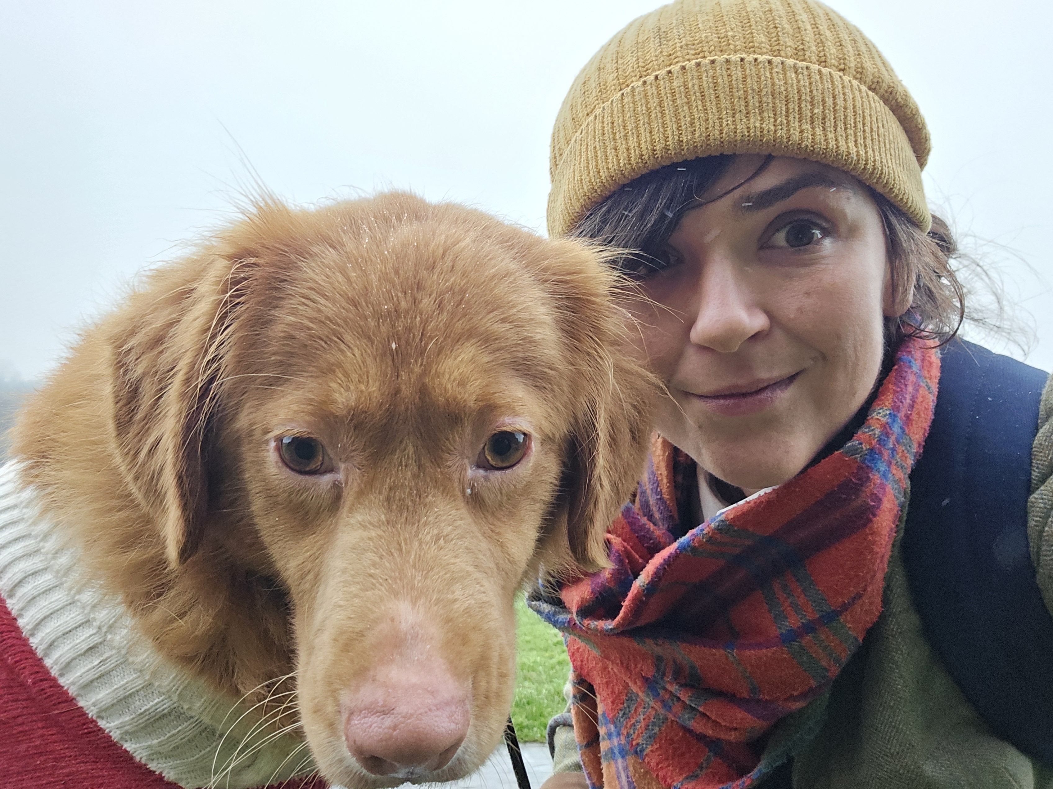My Dog's Reluctance to Join My Festive Selfie